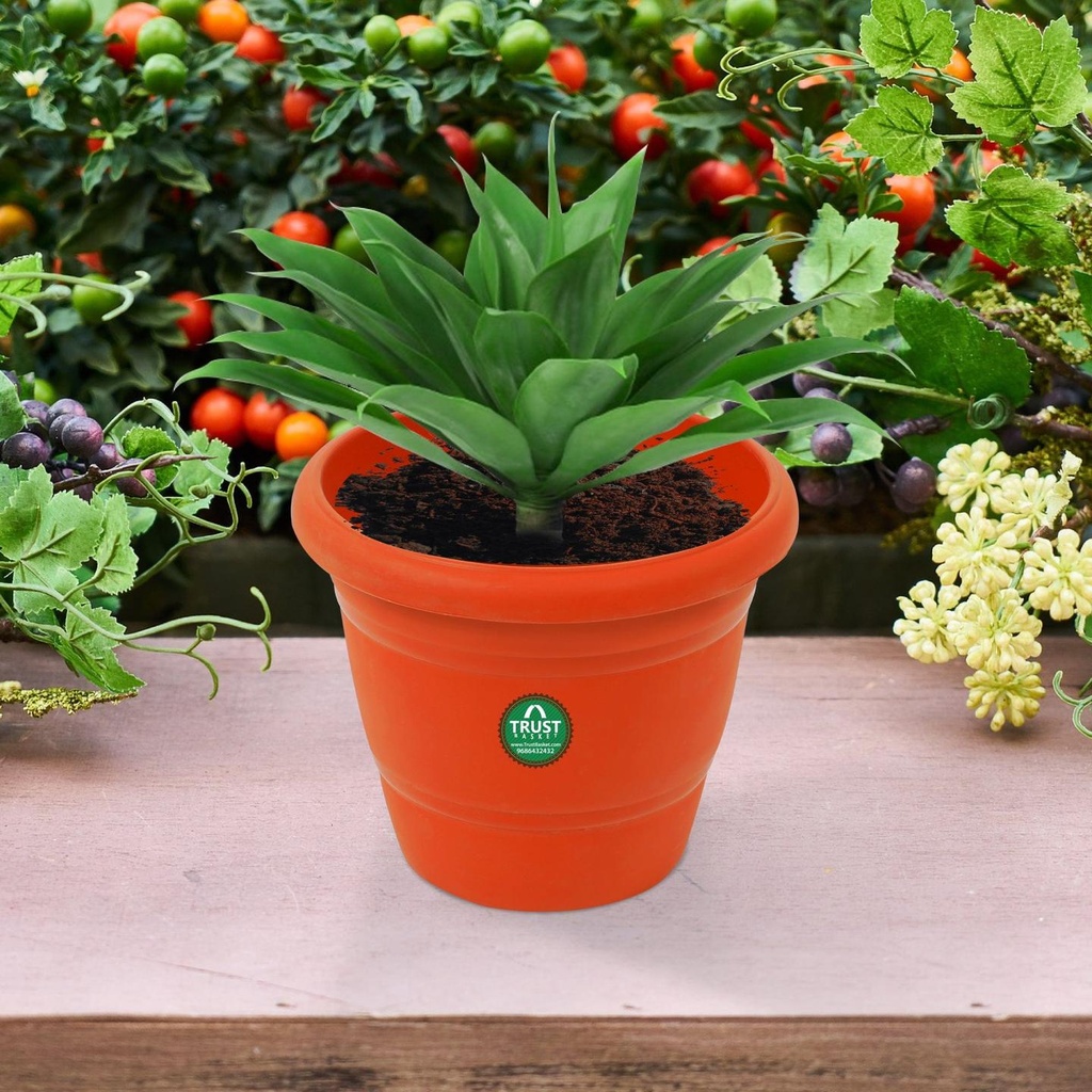 1-Round-Plastic-Pot-secondary-imgs_89f301ec-d830-4432-9b35-18c720280039.jpg