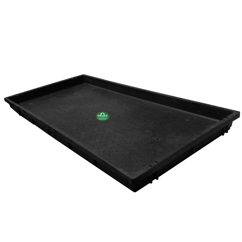 2-Tray.jpg