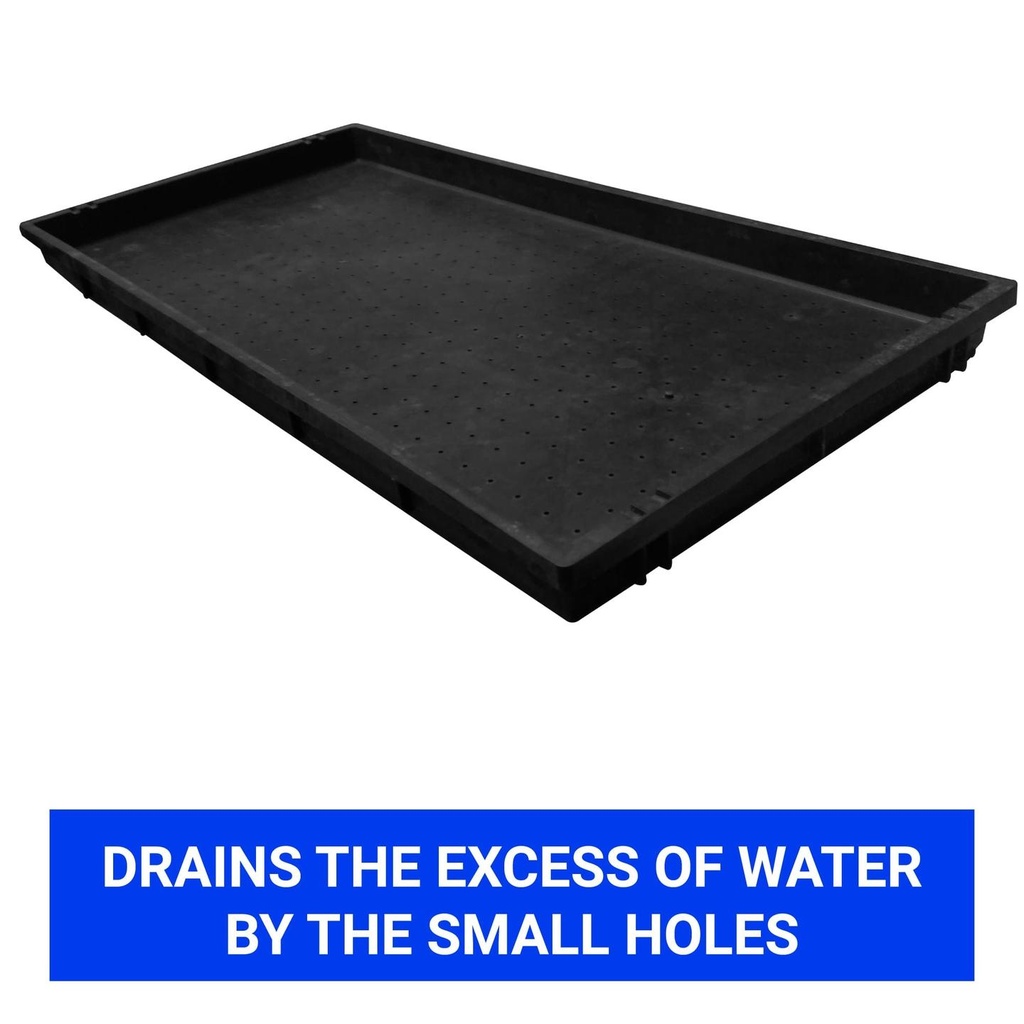 Tray-2.jpg