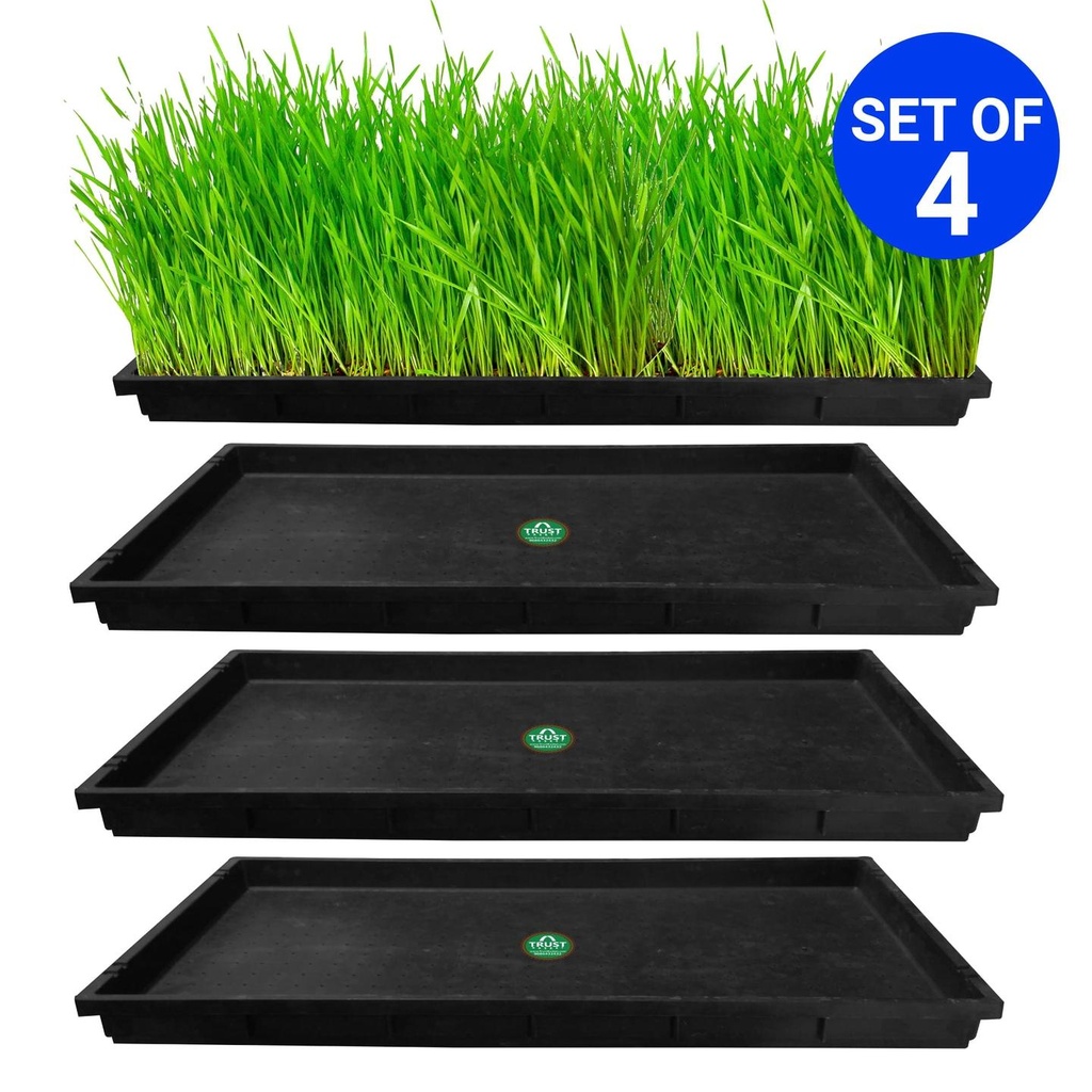 Tray4.jpg