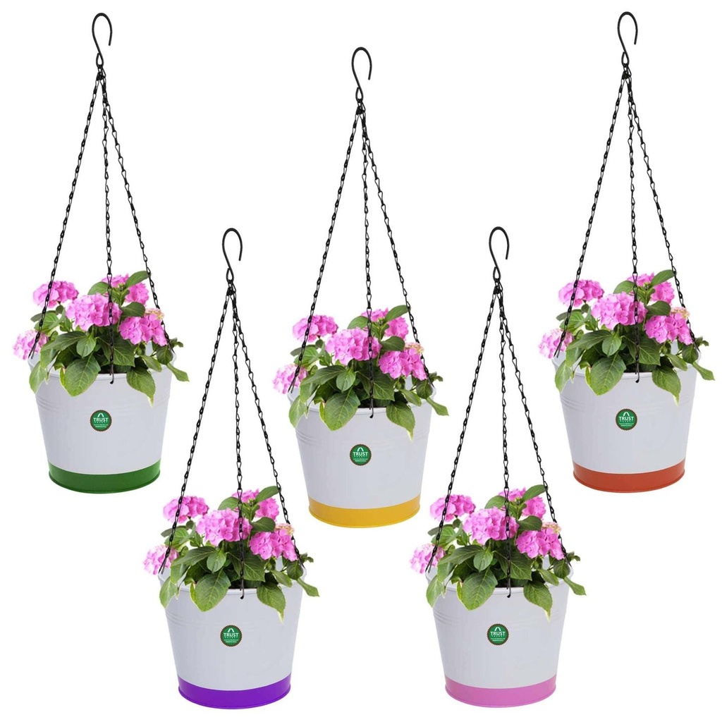 Crown-Hanging-Pots-Chain_acbb019a-9185-4482-9e99-895152326f3f.jpg