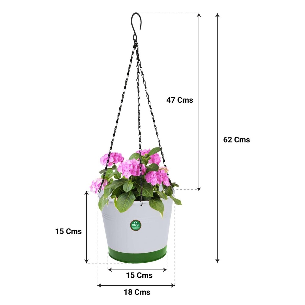 Crown-Hanging-Planter-Green-Dimension.jpg