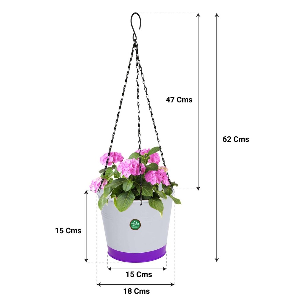 Crown-Hanging-Planter-Purple_Dimension.jpg