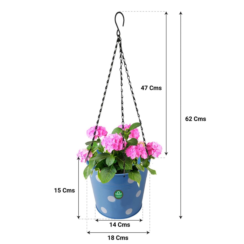 Dotted-Blue-Hanging-Planter-Chain-Dimension.jpg