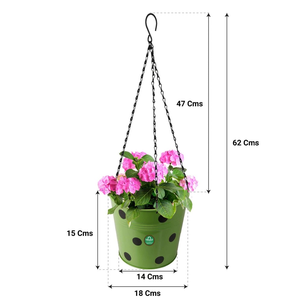 Dotted-Green-Hanging-Planter-Chain-Dimension.jpg
