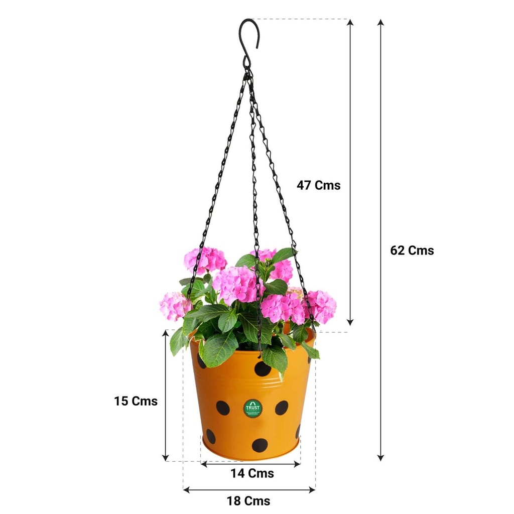 Dotted-Orange-Hanging-Planter-Chain-Dimension.jpg