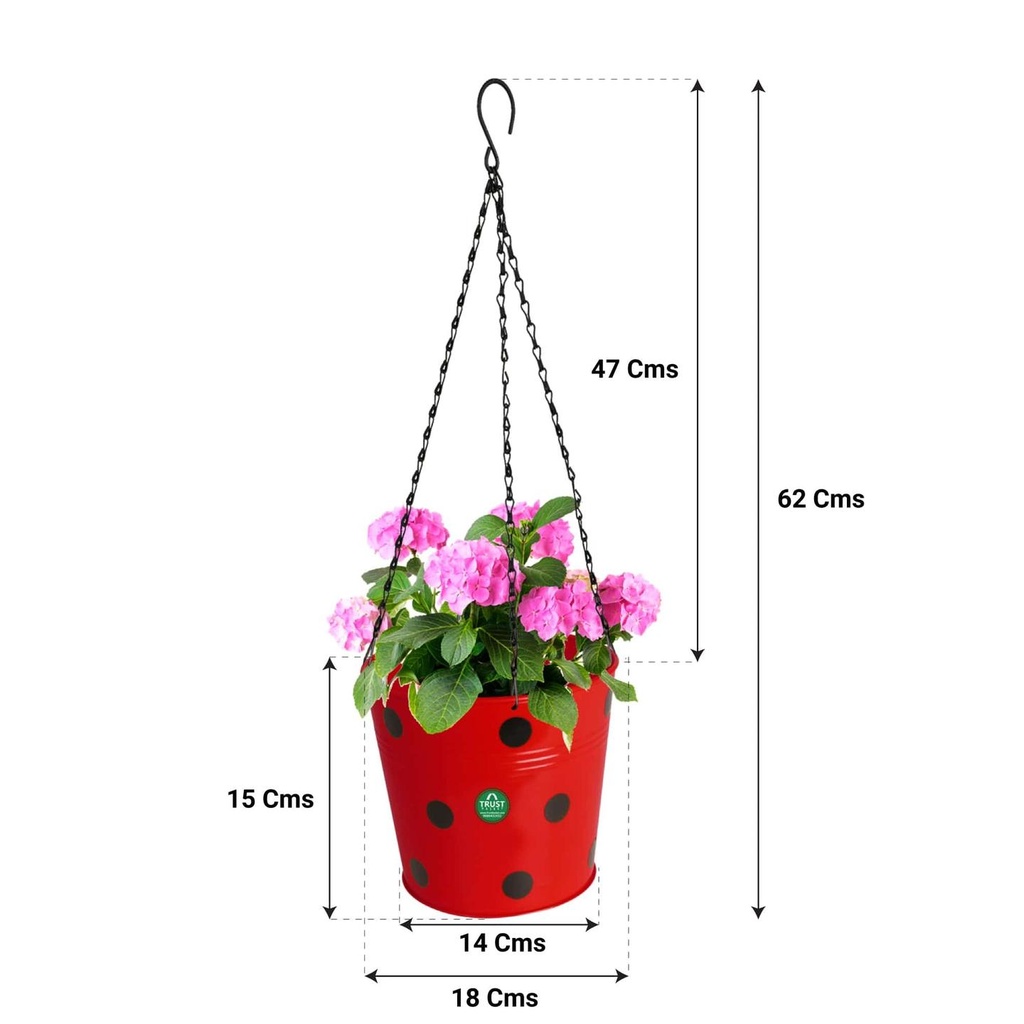 Dotted-Red-Hanging-Planter-Chain-Dimension.jpg