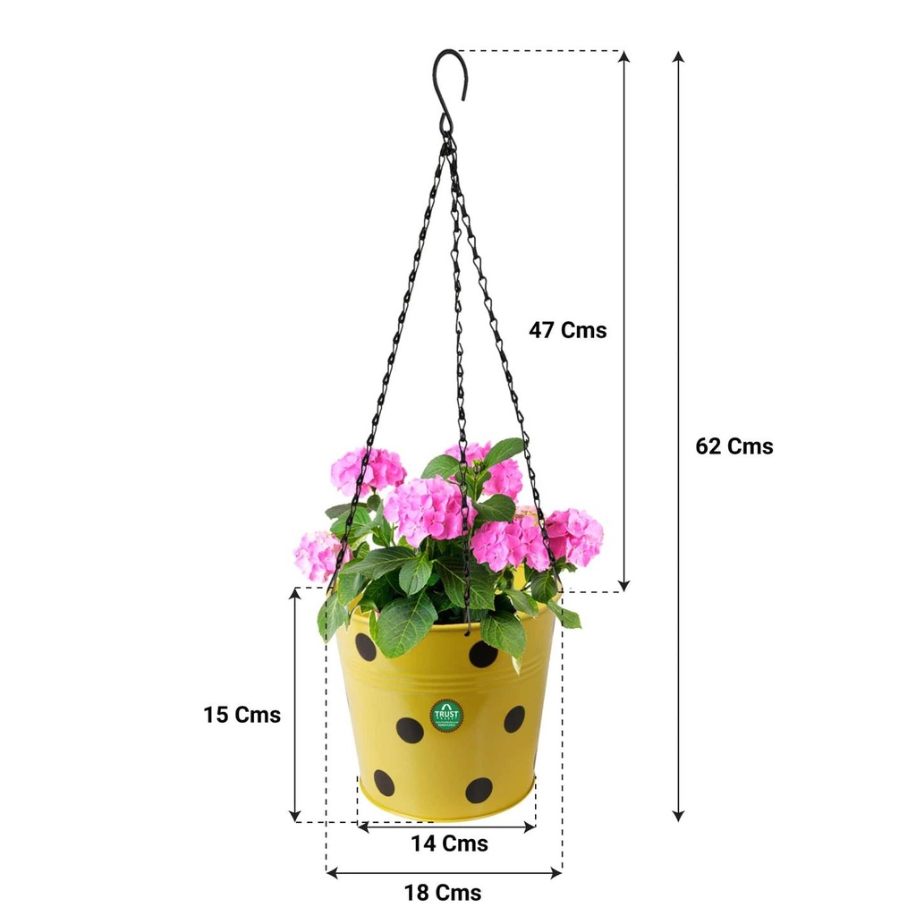 Dotted-Yellow-Hanging-Planter-Chain-Dimension.jpg