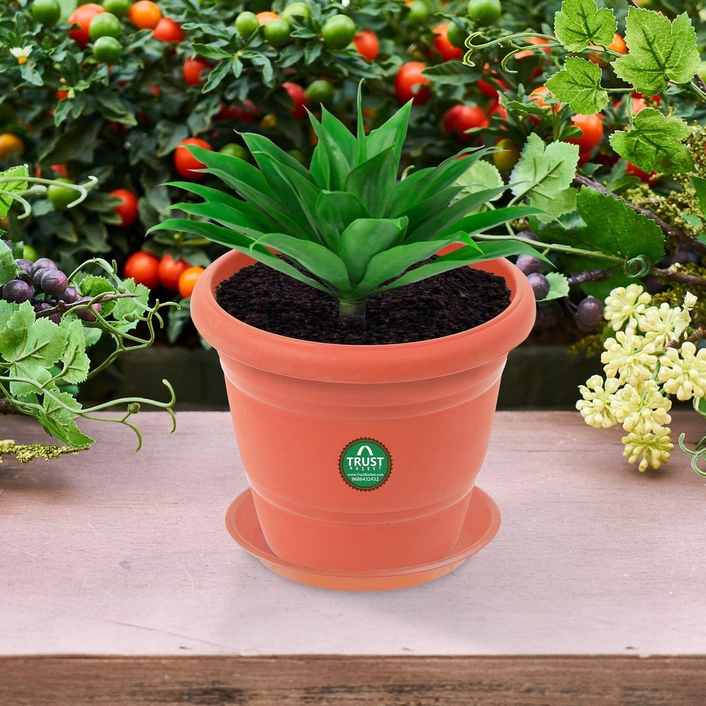 1-Round-Brown-Plastic-Pot-secondary-imgs_1eb0bed8-7c2d-467a-b94b-b9802884f281.jpg