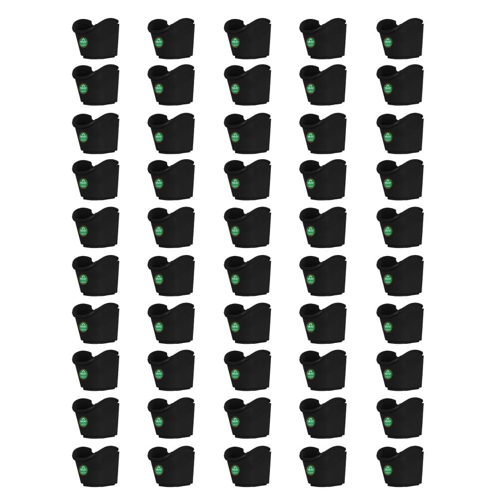 Set-of-50.jpg