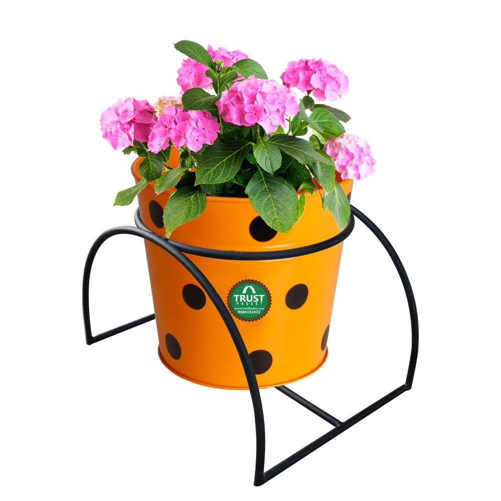 Tunnel-POT-STAND.jpg