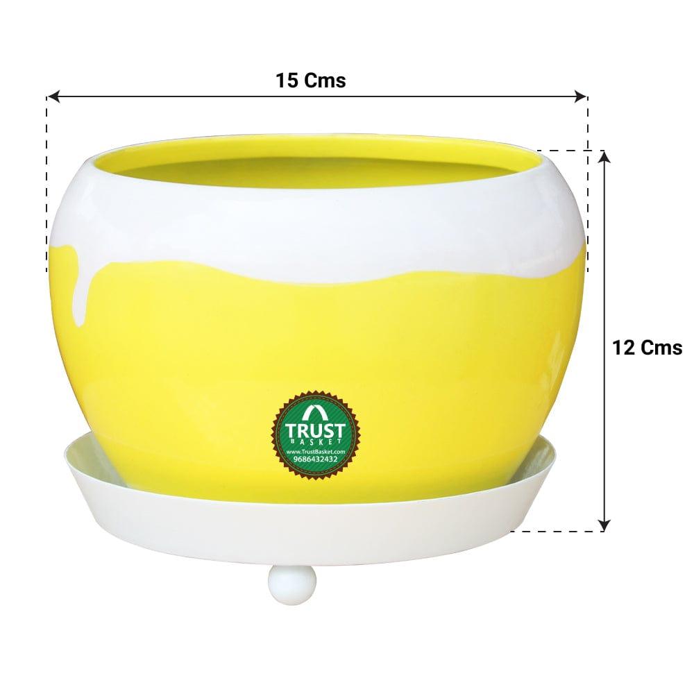 2YellowRound-Planter.jpg