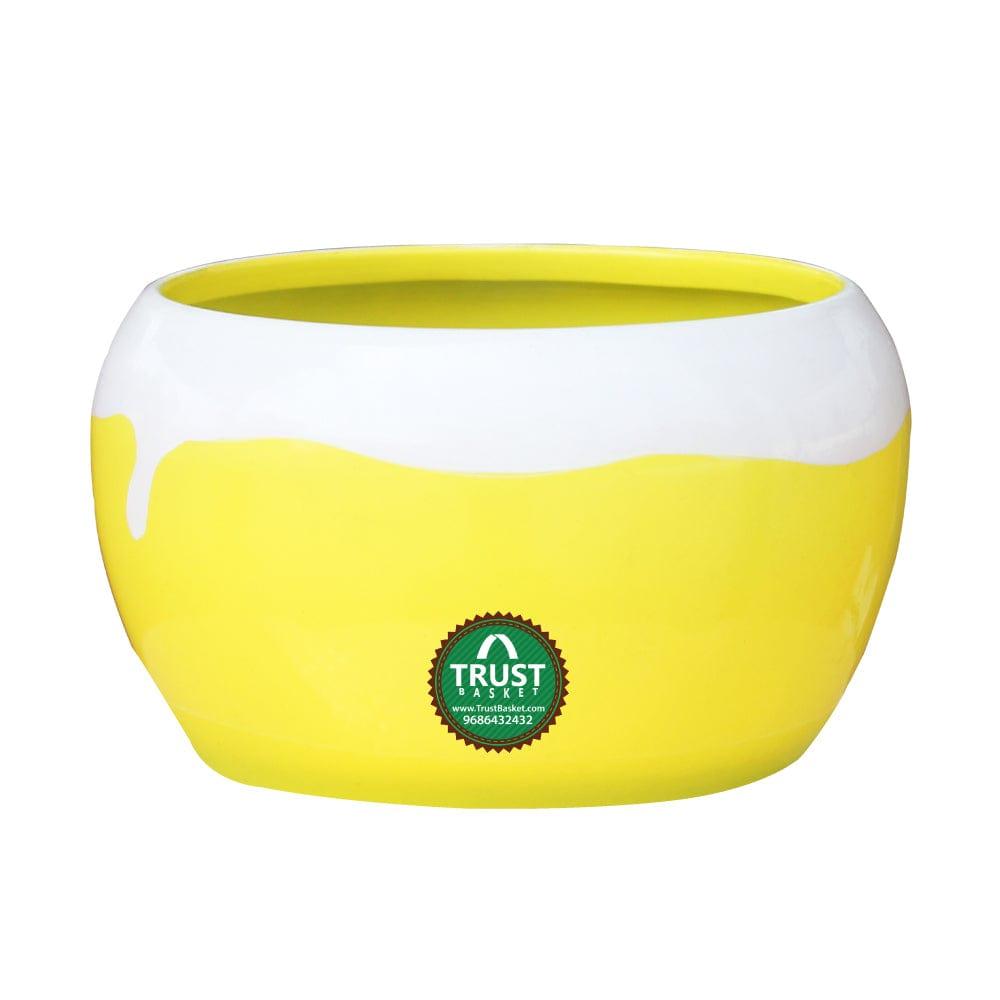 3YellowRound-Planter.jpg