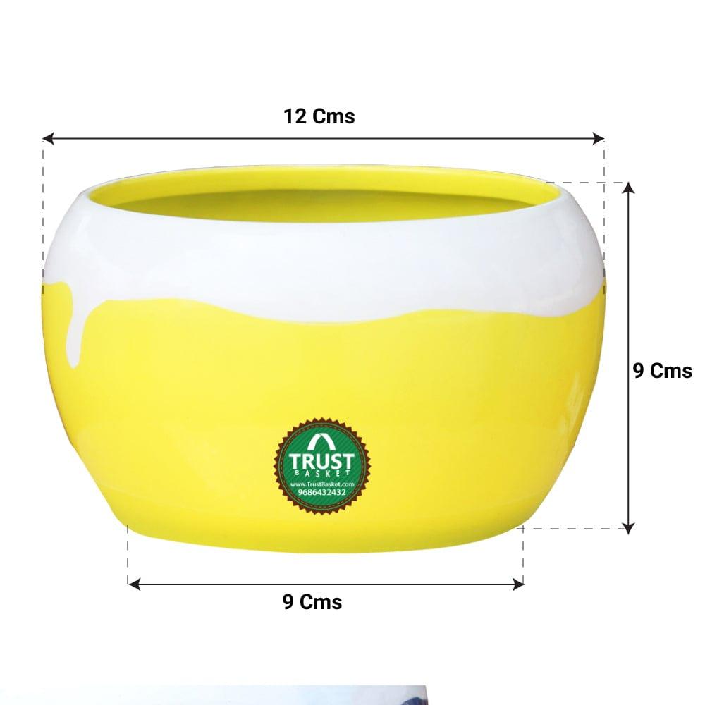 4YellowRound-Planter.jpg