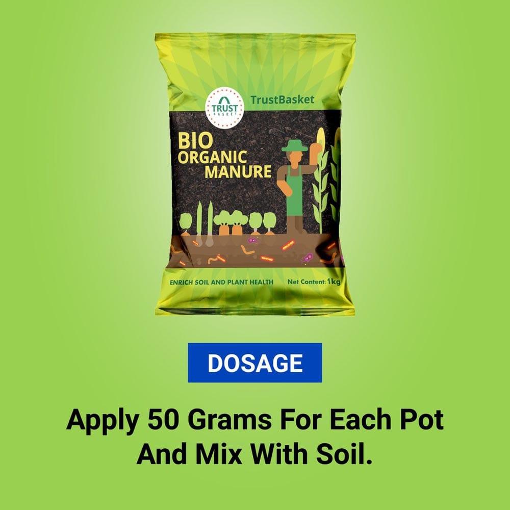 BOM-Dosage_1024x1024_7733ca0e-49fd-4432-af9e-bd3a0c79545b.jpg