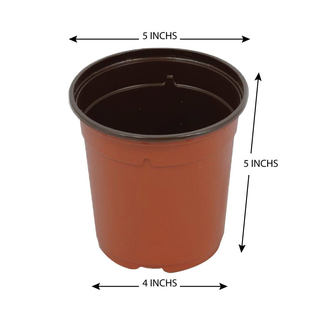Primary-Plastic-Pot.jpg