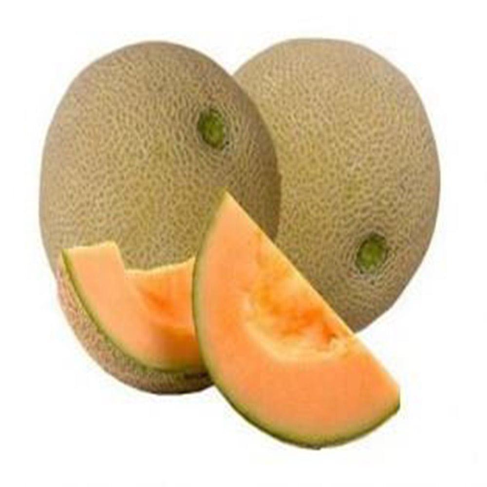 Musk-melon_bd5d100f-e675-4c4c-b07f-1d168d4cc628.jpg
