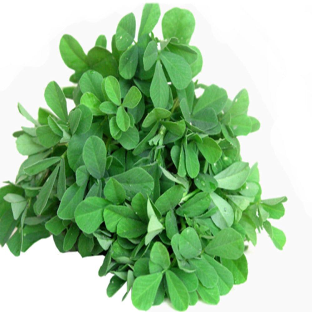 Methi.jpg