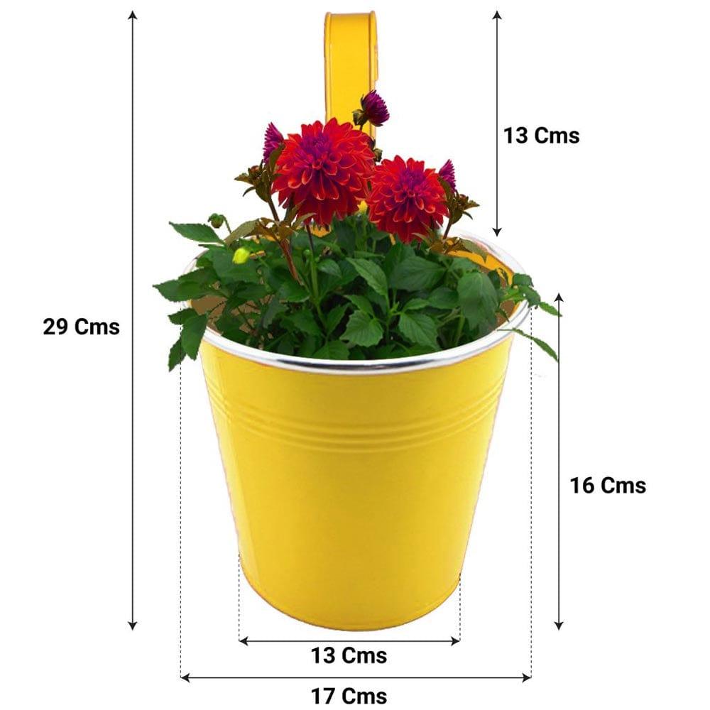 Yellow_Dimen_1024x1024_aa43b3ab-853c-4feb-8ab8-0ff965a9d2c0.jpg