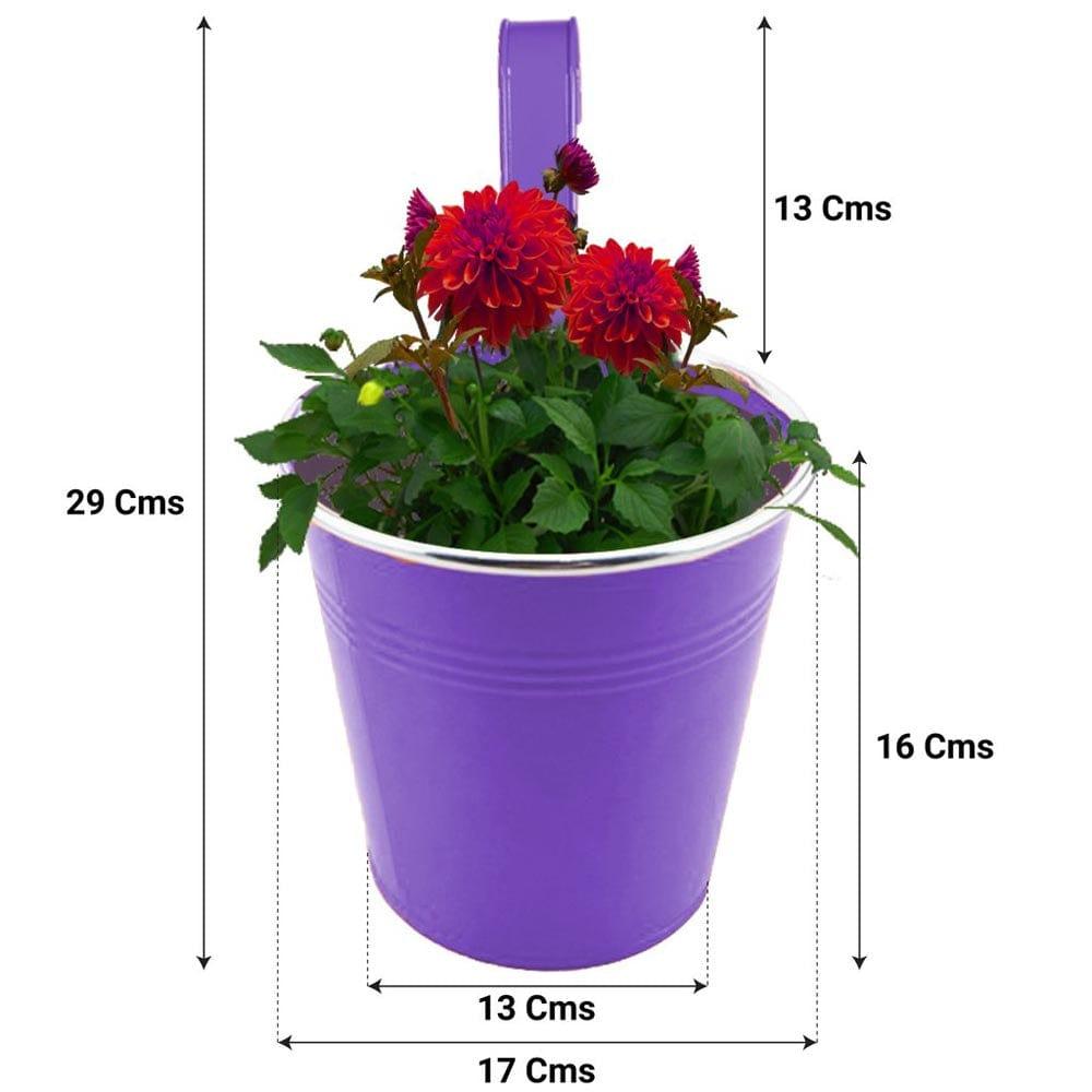 Purple_Dimen_1024x1024_bca3cf2f-4c04-4e32-ba44-50b50aee83a9.jpg