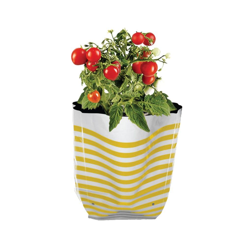 Yellow-Strips_79b2dee9-a09e-4ec3-bf99-71110f5f18c8.jpg