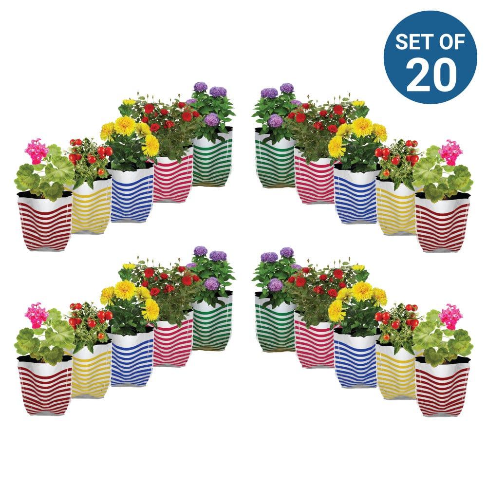 Strips-Grow-Bag--Set-of-20.jpg