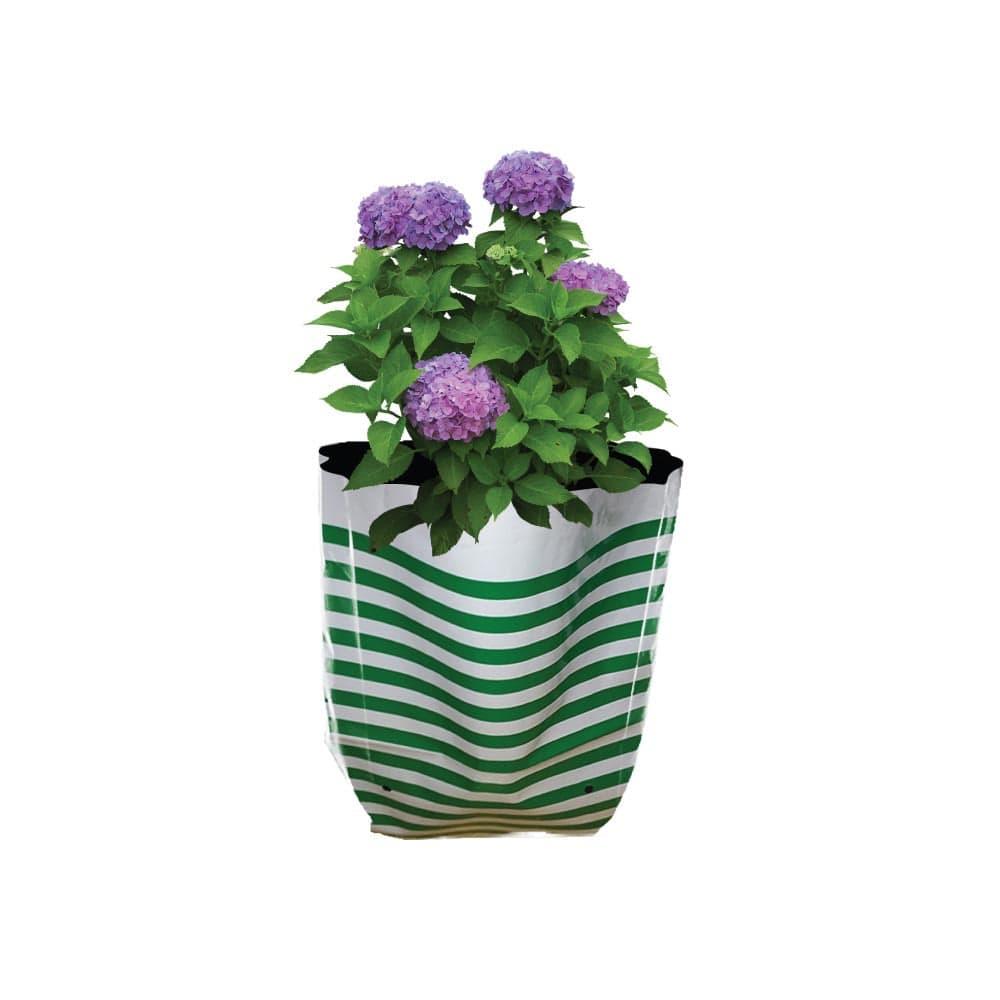 Strips-Growbag.jpg