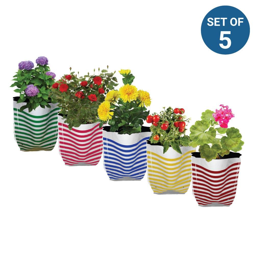 Strips-Grow-Bag--Set-of-5.jpg