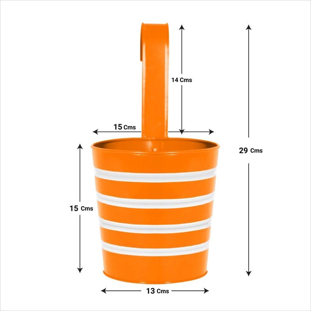 Orange_1024x1024_7100895b-02d0-4206-8fd2-ce5a16e4c0fb.jpg