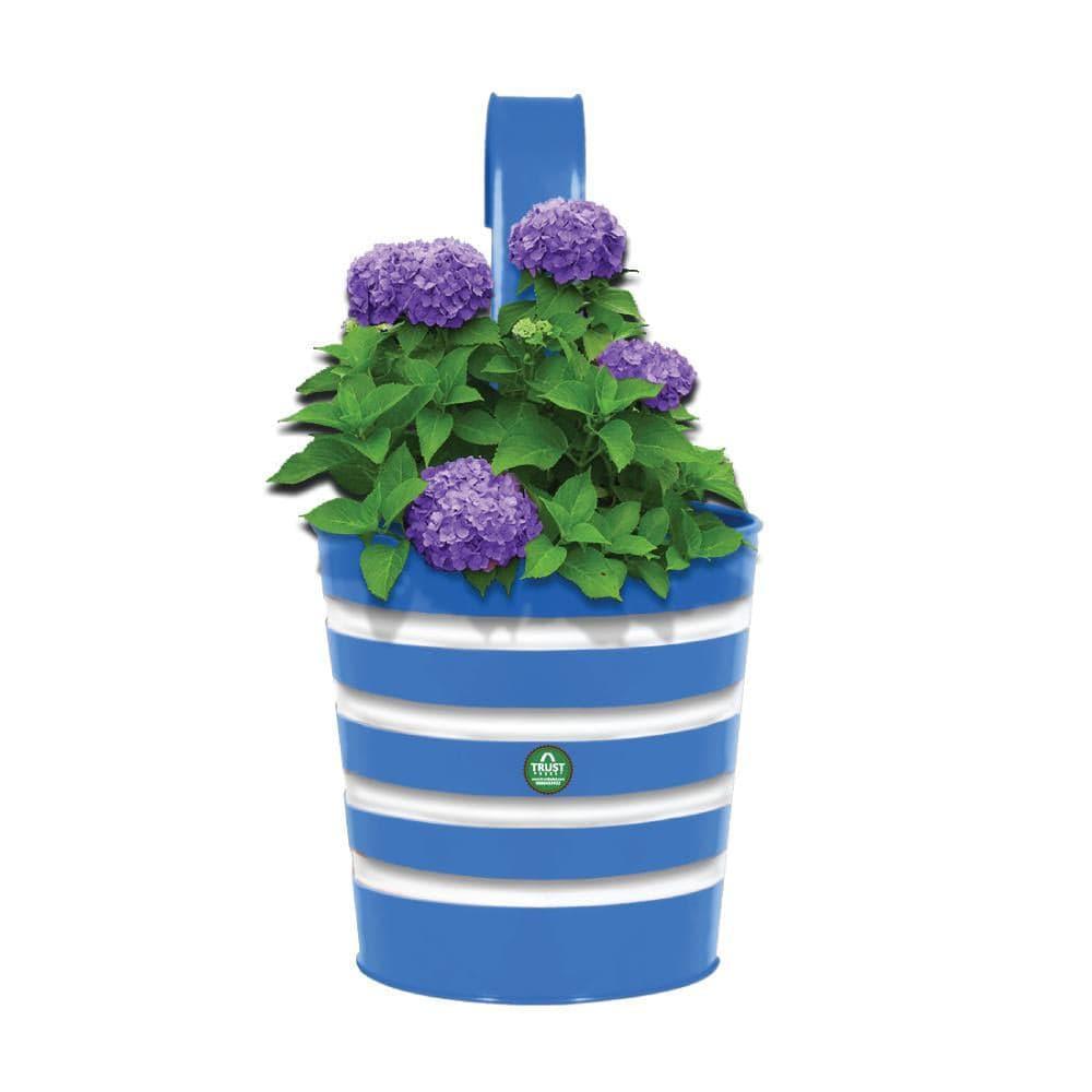 Blue_1024x1024_2cfe0ea8-ca4c-4c7e-8981-031b95a0d3db.jpg