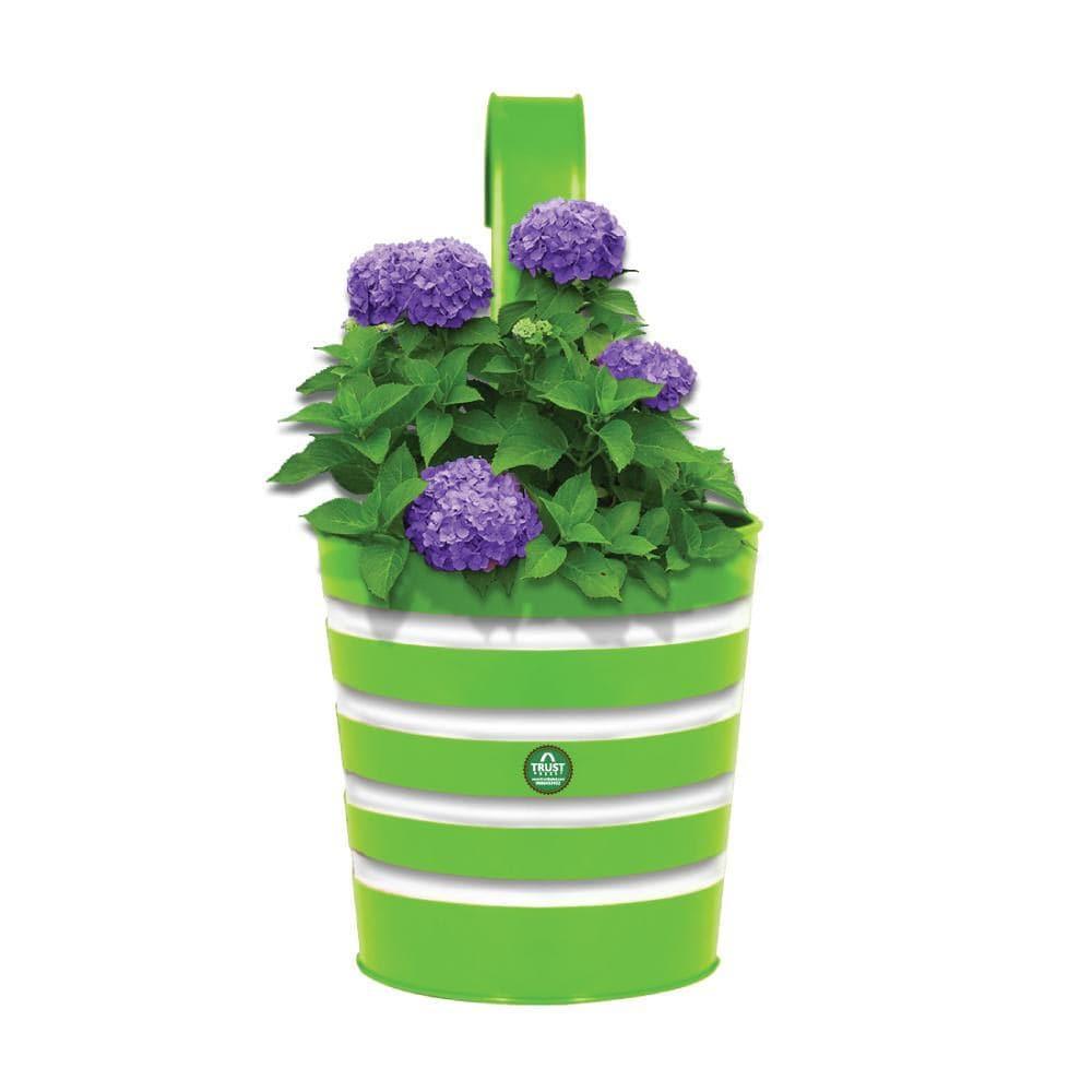 Green_1024x1024_d3dde5bc-1b41-41c6-a605-09e8d5d96fd5.jpg
