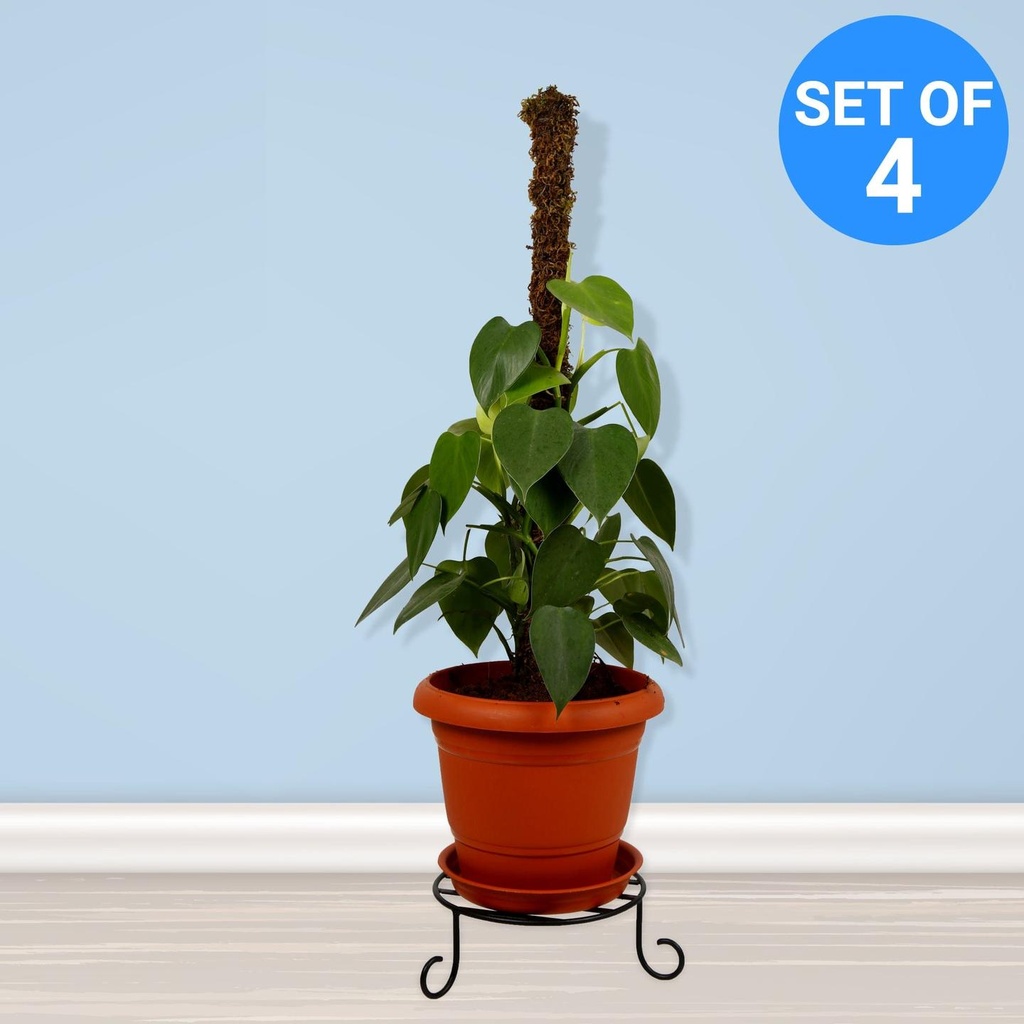 Premium-Pot-Stand-for-Plants-set-4.jpg