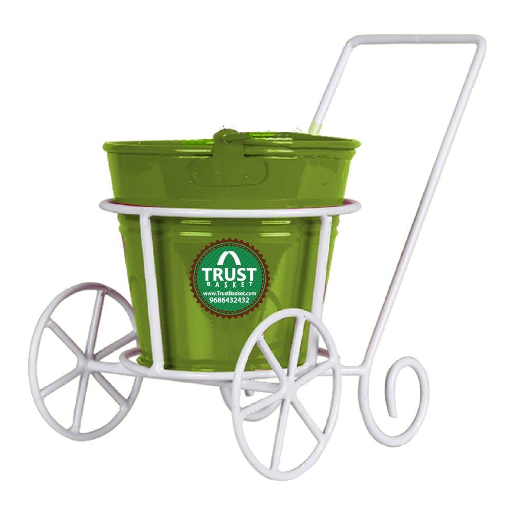 Green_Back_d899c805-1ccd-4b5a-9405-f0bc4767849d.jpg