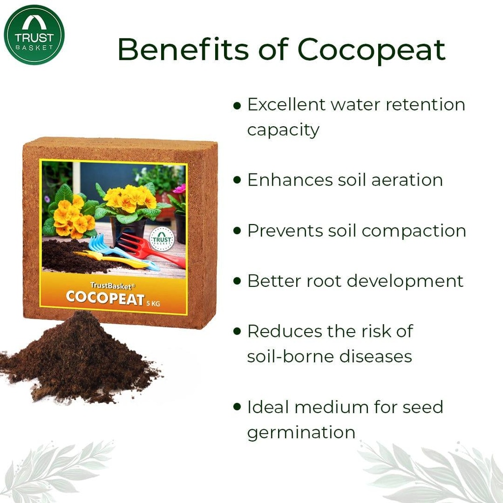 Benefits2_927a9c6c-39cb-41e4-93cf-b4d84e4e6e73.jpg