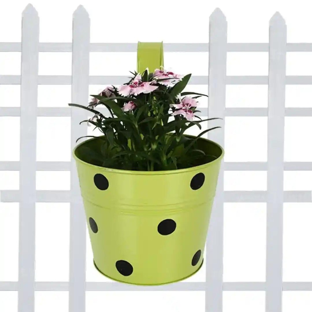 12_dottedrailingpot_image_5.jpg