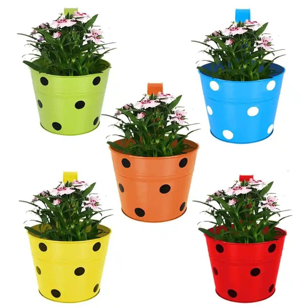 12_dottedrailingpot_image_4.jpg