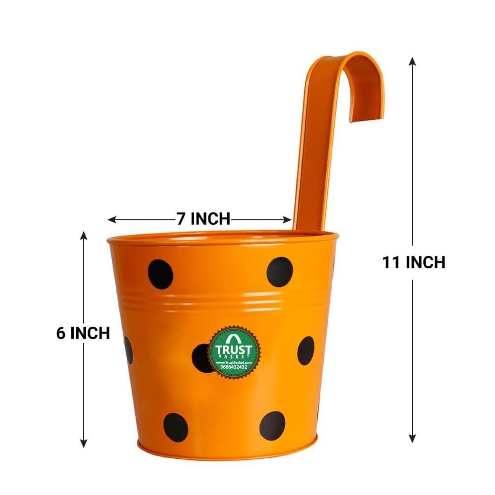 ORANGE_d2d304f8-71ab-41eb-bded-cbb4caa14e40_1024x1024_1.jpg