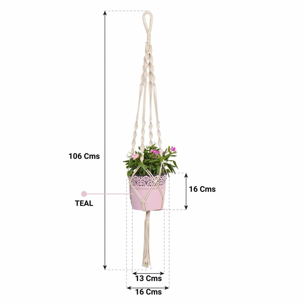 PINK_46fc1fdd-bb99-4339-a683-d779e36acb7e.jpg