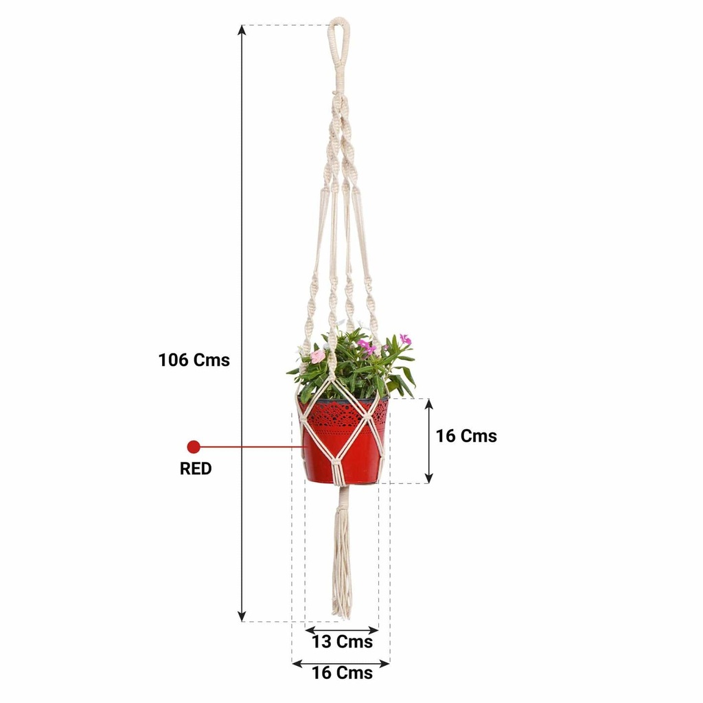RED-Dimension_def2f9e9-0279-4962-b8be-6c3c63264968.jpg