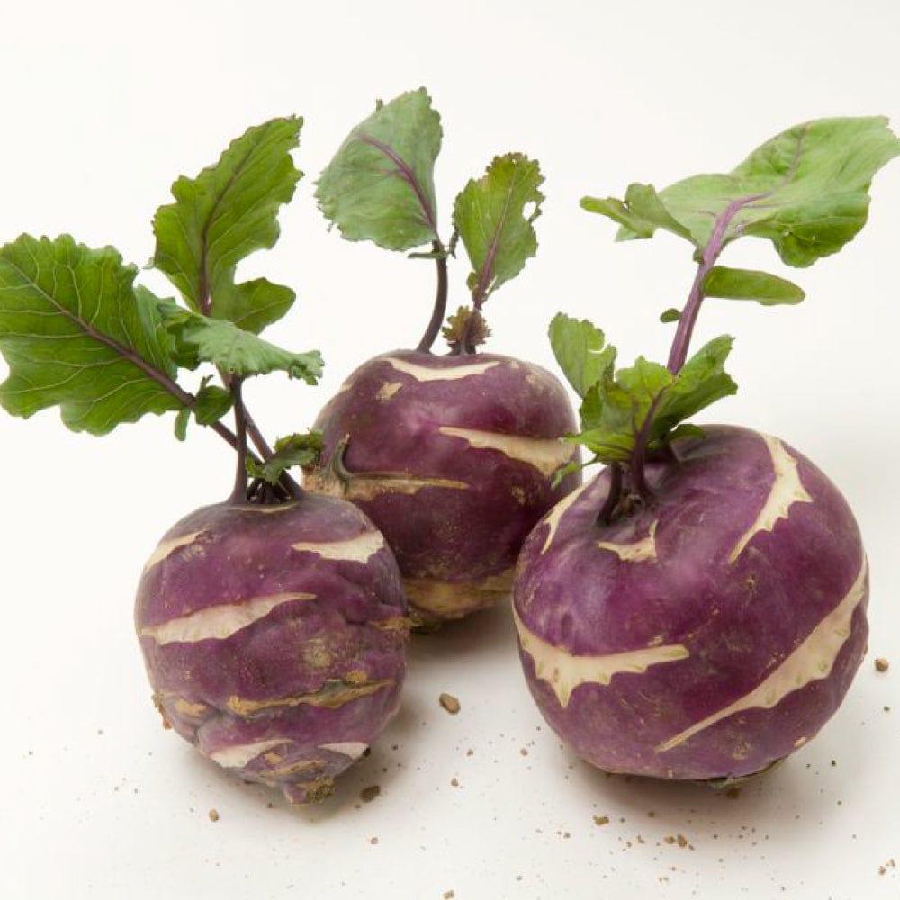 Knol-Khol-Purple.jpg