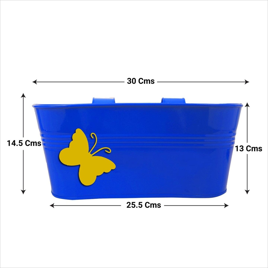 Blue_1.jpg
