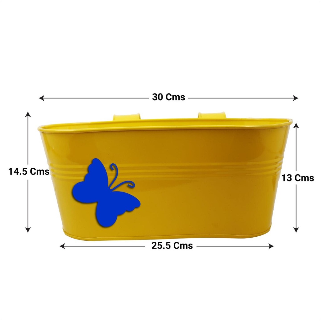 Yellow_1_3e30008f-87f4-45f0-b14b-ac7d52753bde.jpg