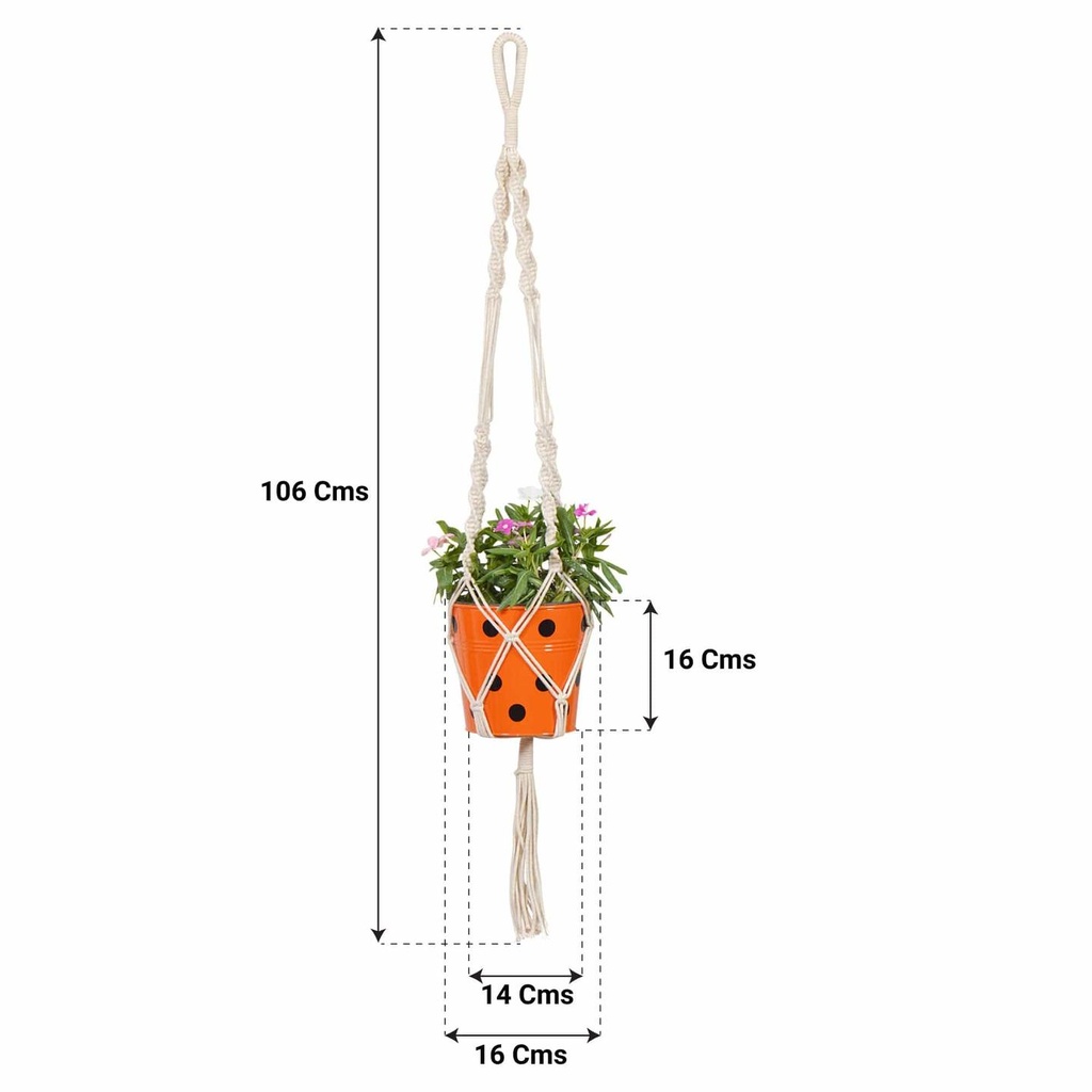 ORANGE_fb773c31-9cd6-46b8-8cf8-3ed6f6aa7220.jpg