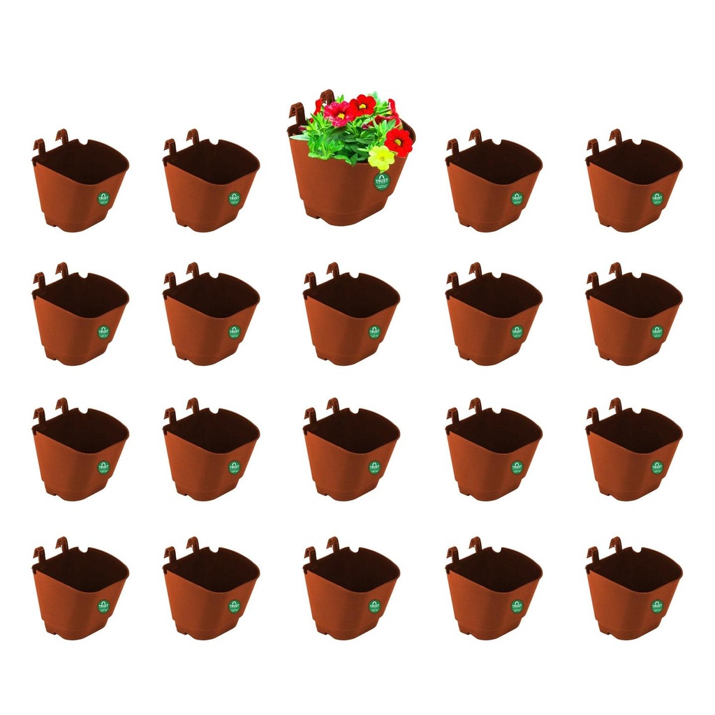 VER-small-set-of-20.jpg