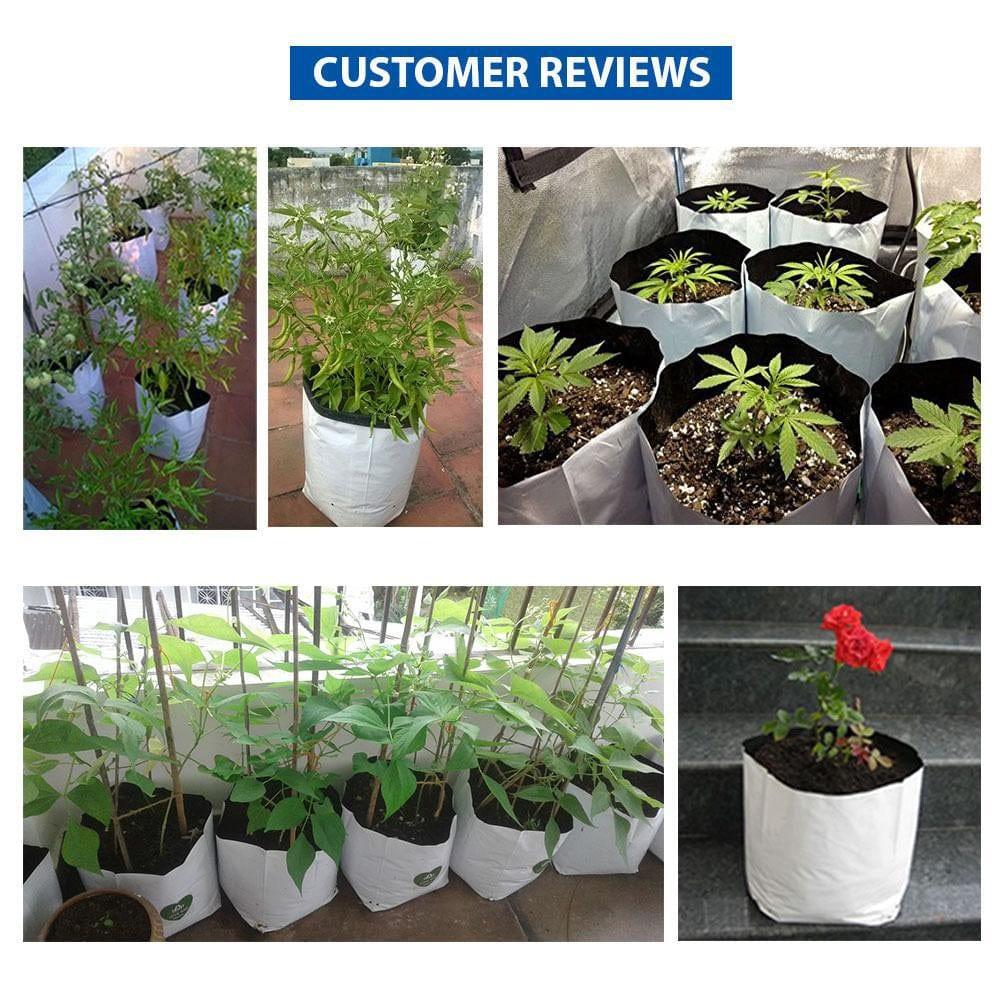 GROWBAG_1024x1024_ee89b5b3-8d26-4886-a114-66a98580a6b6.jpg