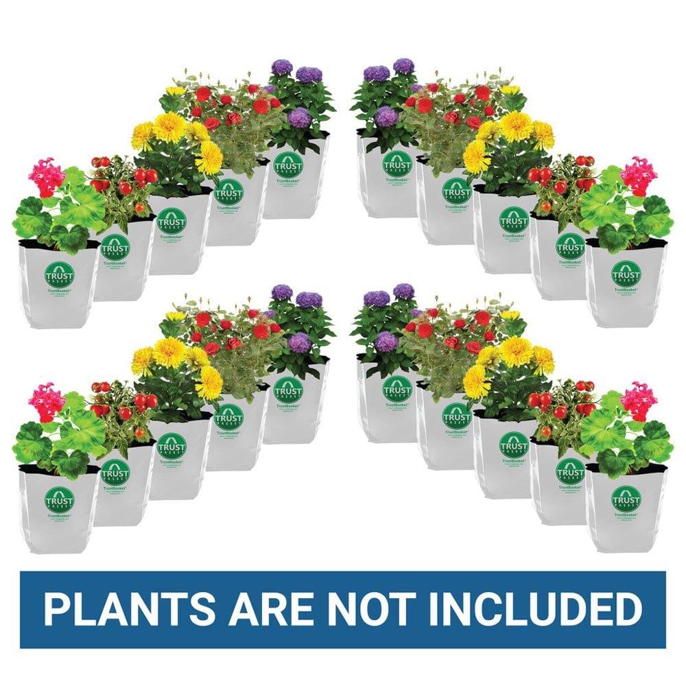 plain-Growbag-20_1024x1024_4a3c24e8-27bd-4368-a9a1-66086f134877.jpg