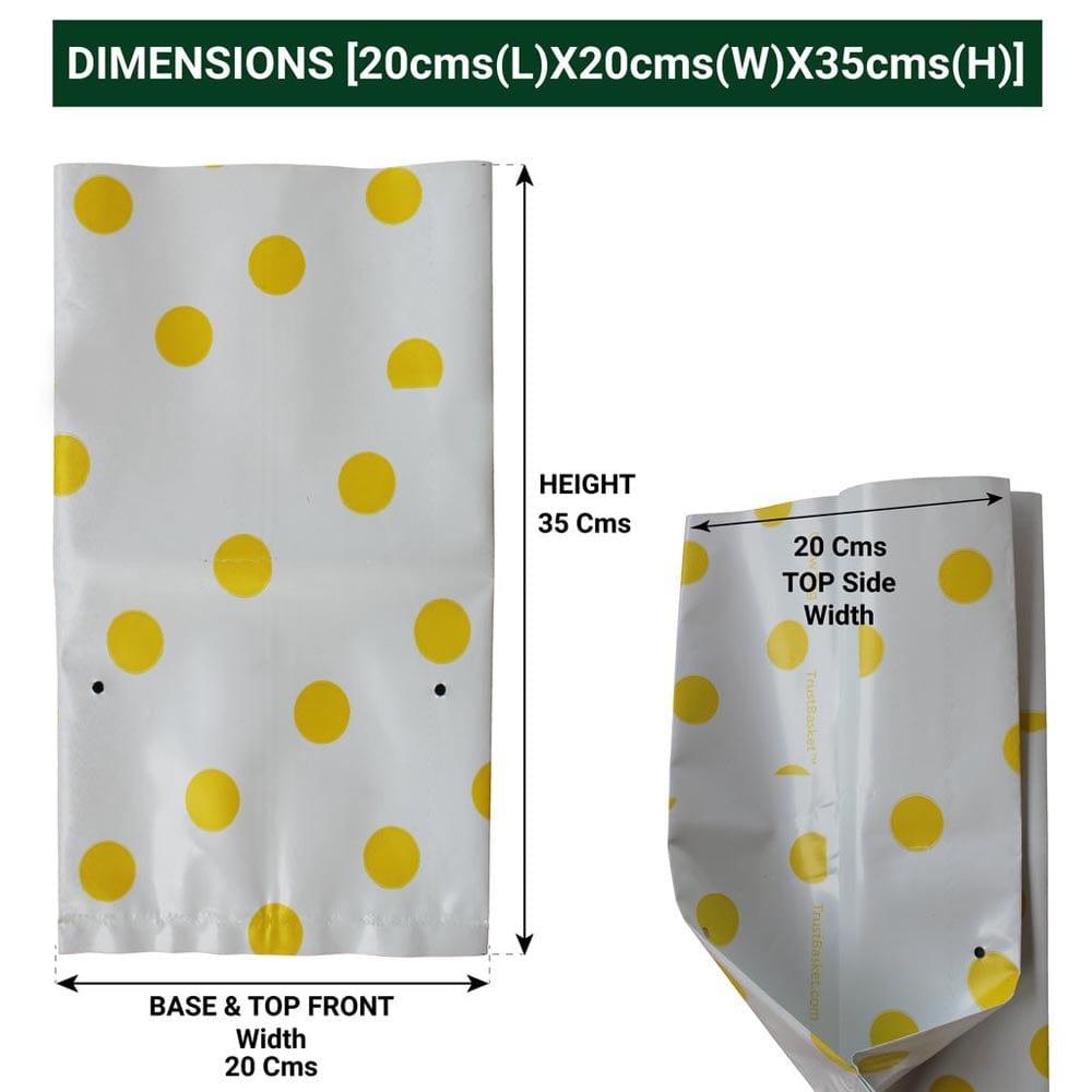 COLORFULL-DOTTED-GROWBAG-DIMENSION_1024x1024_606781b5-c881-406f-8ddb-65311e9e874b.jpg