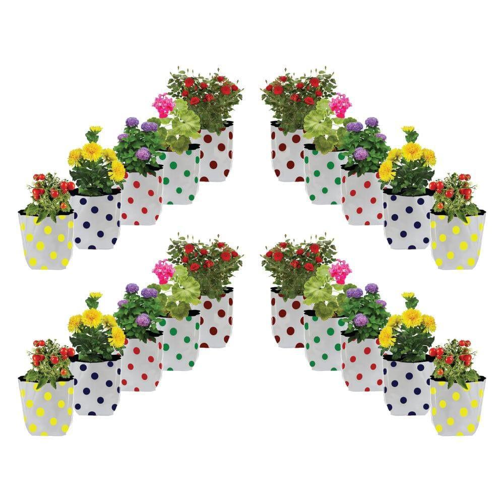 Dotted-Growbag-set-of-20_1024x1024_a0bc08b5-8442-49cd-aea5-0d0327a34d9c.jpg