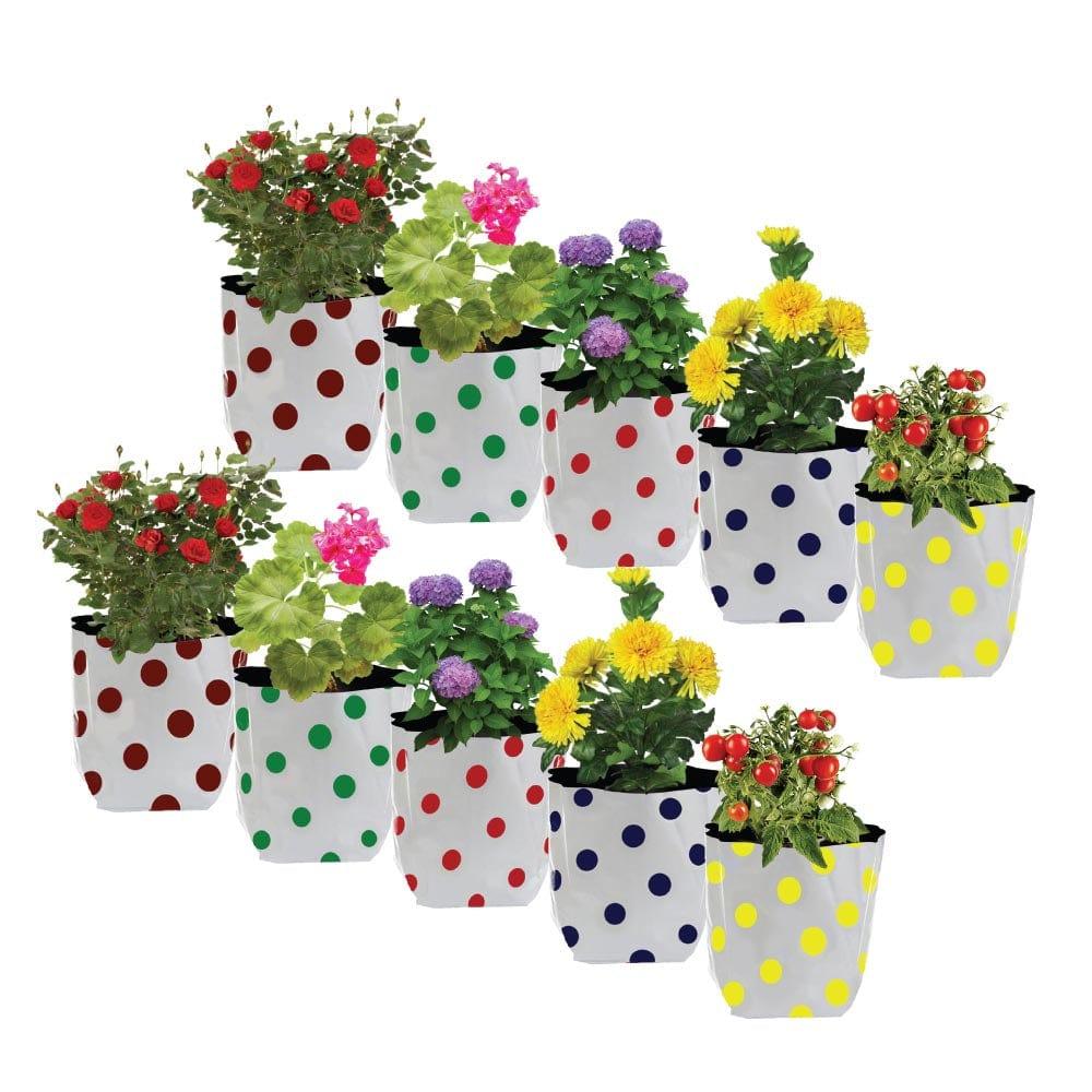 Dotted-Growbag-set-of-10.jpg