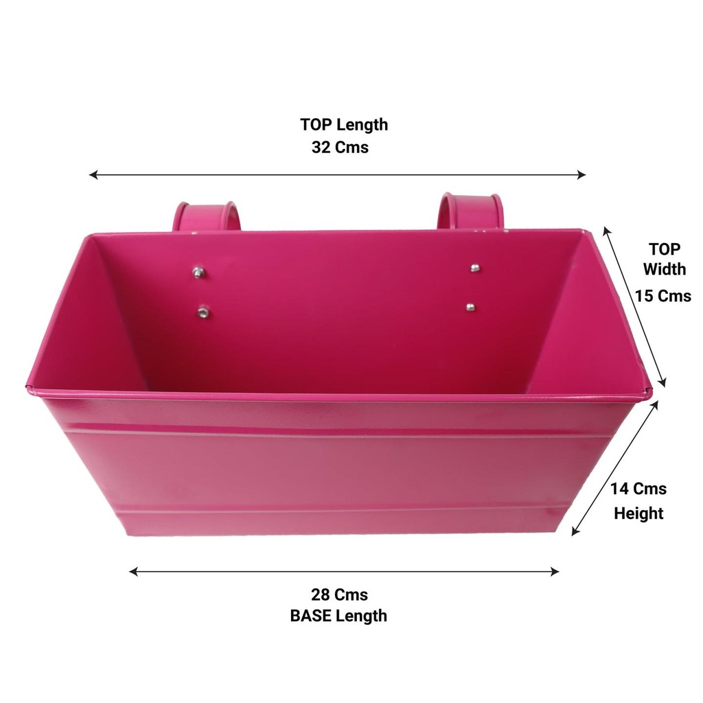 12Magenta_Dimen_2.jpg
